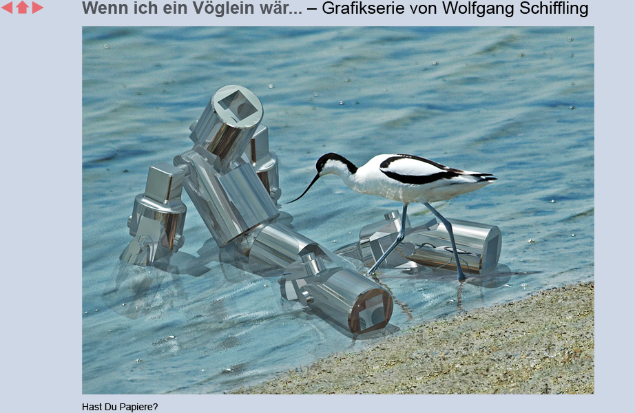Wenn ich ein Vöglein wär... – Grafiken von Wolfgang Schiffling